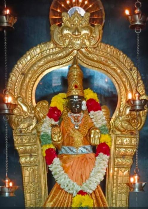 தங்க நிறம் சேலையில் நம் வாசவி.....