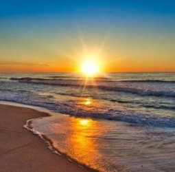 வாழ்க்கை ஒளி