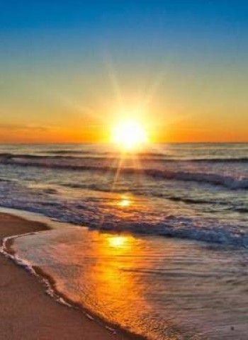 வாழ்க்கை ஒளி