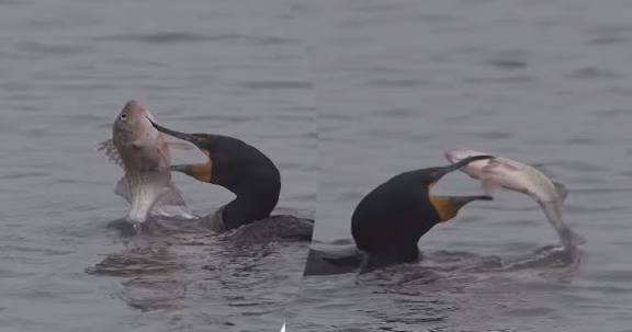 நொடியின் பிடியில்