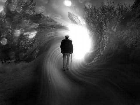 பல் சுவை களஞ்சியம் பகுதி