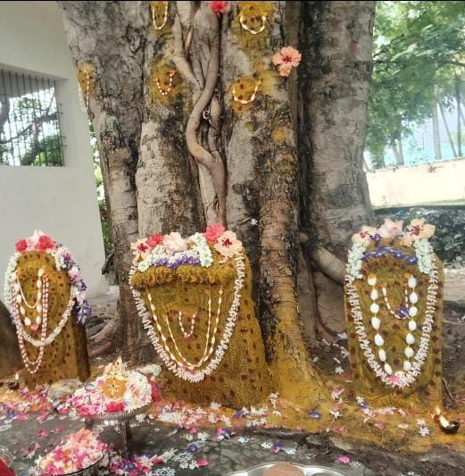 நாக சதுர்த்தி நோன்பு சிறப்பு வழிபாடு...