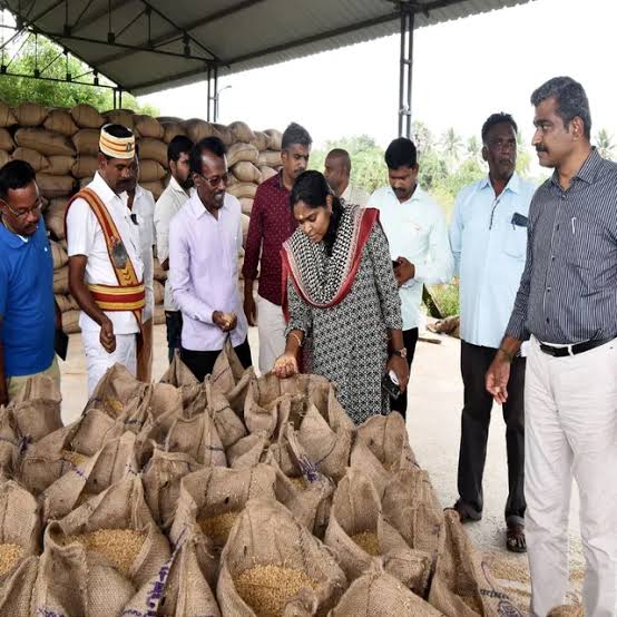 தஞ்சாவூரில் நெல் மூட்டைகளை அனுப்பும் பணிகளை மாவட்ட ஆட்சியர் பார்வையிட்டு ஆய்வு