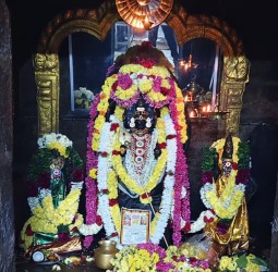 வள்ளிமலை ஸ்ரீ சுப்பிரமணிய சுவாமி கோவிலில் கந்த சஷ்டி விழா 5வது நாள் தங்க நகை அலங்காரத்தில் அருள்பாலிப்பு!