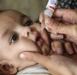 போலியோ சொட்டு மருந்து முகாம்