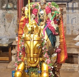 ஸ்ரீ சத்தியமூர்த்தி பெருமாள் சிறப்பு அலங்காரத்தில்