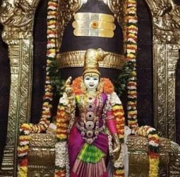 மதுரை மீனாட்சிஅம்மன் தனி சிறப்புகள்