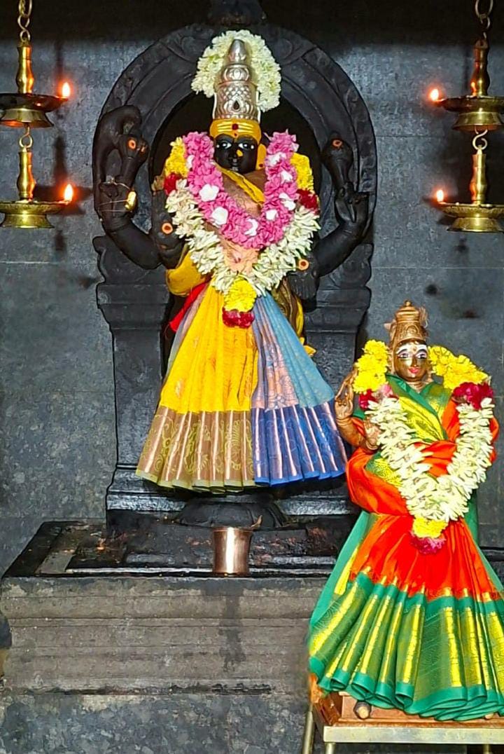 மஞ்சள் கலர் சேலையில் நம் வாசவி...