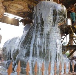 நந்தியம்பெருமானுக்கு பால், சந்தன அபிஷேகம்