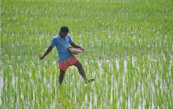 உரம் யூரியா தட்டுப்பாட்டை போக்க வேண்டும் தமிழ்நாடு விவசாயிகள் சங்கம் தீர்மானம்