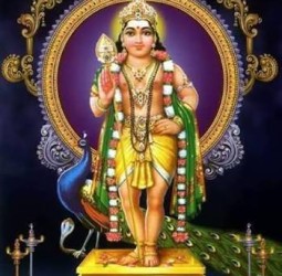 சூரனை வென்ற சுப்பிரமணியனின் அறுபடை வீடுகளை வணங்கி வழிபடுவோம்