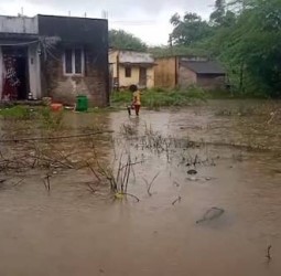 திருவாரூரில் இடைவிடாத கனமழையால் இயல்பு வாழ்க்கை பாதிப்பு - சம்பா பயிர்கள் சேதம்