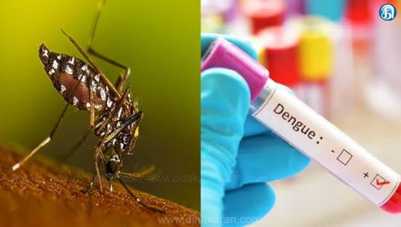 கடந்த 2 வாரங்களாக டெங்கு பாதிப்பு அதிகரிப்பு