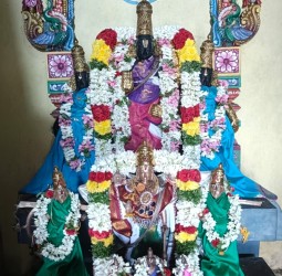 *விளாநல்லூர் ஸ்ரீ வரதராஜப் பெருமாளுக்கு அக்னி சாந்தி ஹோமம்*