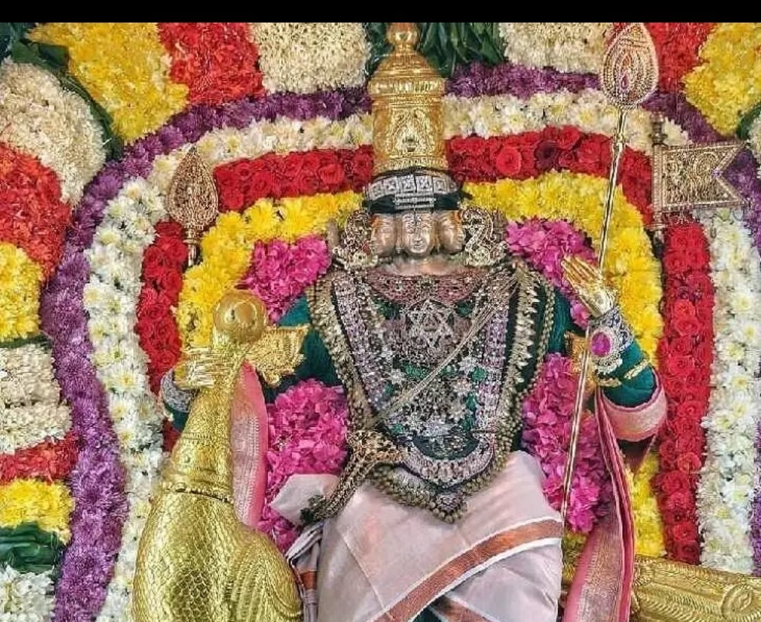 காட்பாடி காங்கேயநல்லூர் ஸ்ரீ சுப்பிரமணியர் கோவிலில் கந்த சஷ்டி விழா!