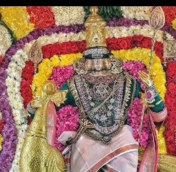 காட்பாடி காங்கேயநல்லூர் ஸ்ரீ சுப்பிரமணியர் கோவிலில் கந்த சஷ்டி விழா!