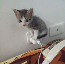 பிரச்சனை