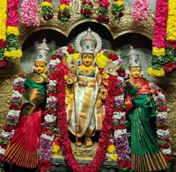 ஸ்ரீ கல்யாண சுப்பிரமணியர் கோயிலில் நேற்று திருக்கல்யாணம்