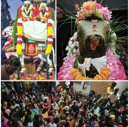 சனி மஹா பிரதோஷம் வழிபாடு....