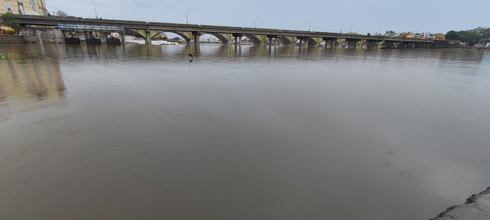 மதுரை வைகை ஆற்றில் கரை புரண்டோடும் வெள்ளம்