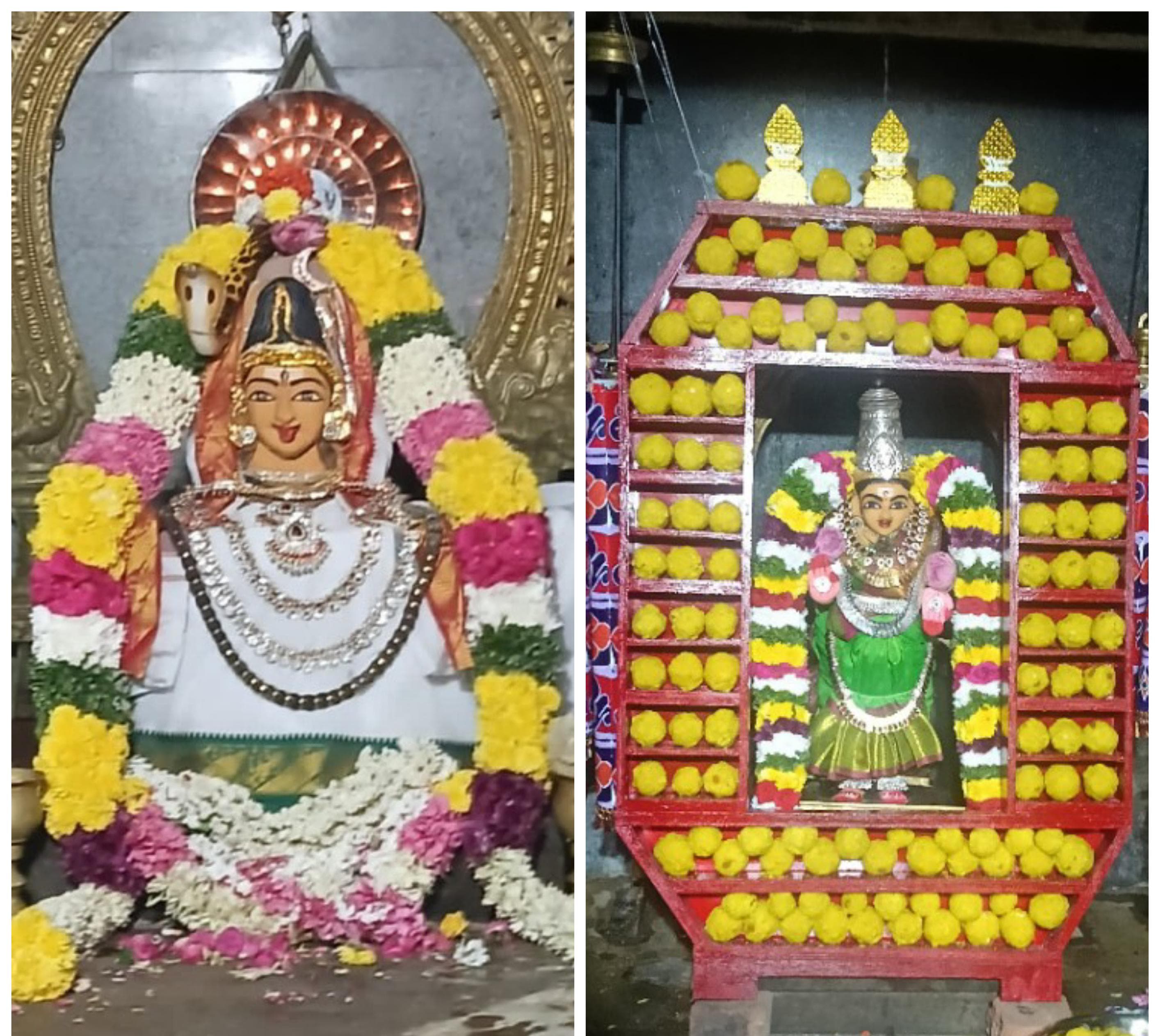 ஸ்ரீ மீனாட்சி அம்மன் லட்டு தேர் அலங்காரம்....