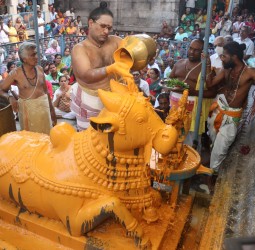 ஜலகண்டேஸ்வரர் கோயிலில் சனி பிரதோஷத்தையொட்டி, நந்திக்கு அபிஷேகங்கள்