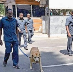 ஆவடியில் பள்ளிகளுக்கு வெடிகுண்டு மிரட்டல்: மளிகைக் கடைக்காரரிடம் செல்போன் வாங்கி மிரட்டல் விடுத்த சிறுவனுக்கு போலீஸ் வலை