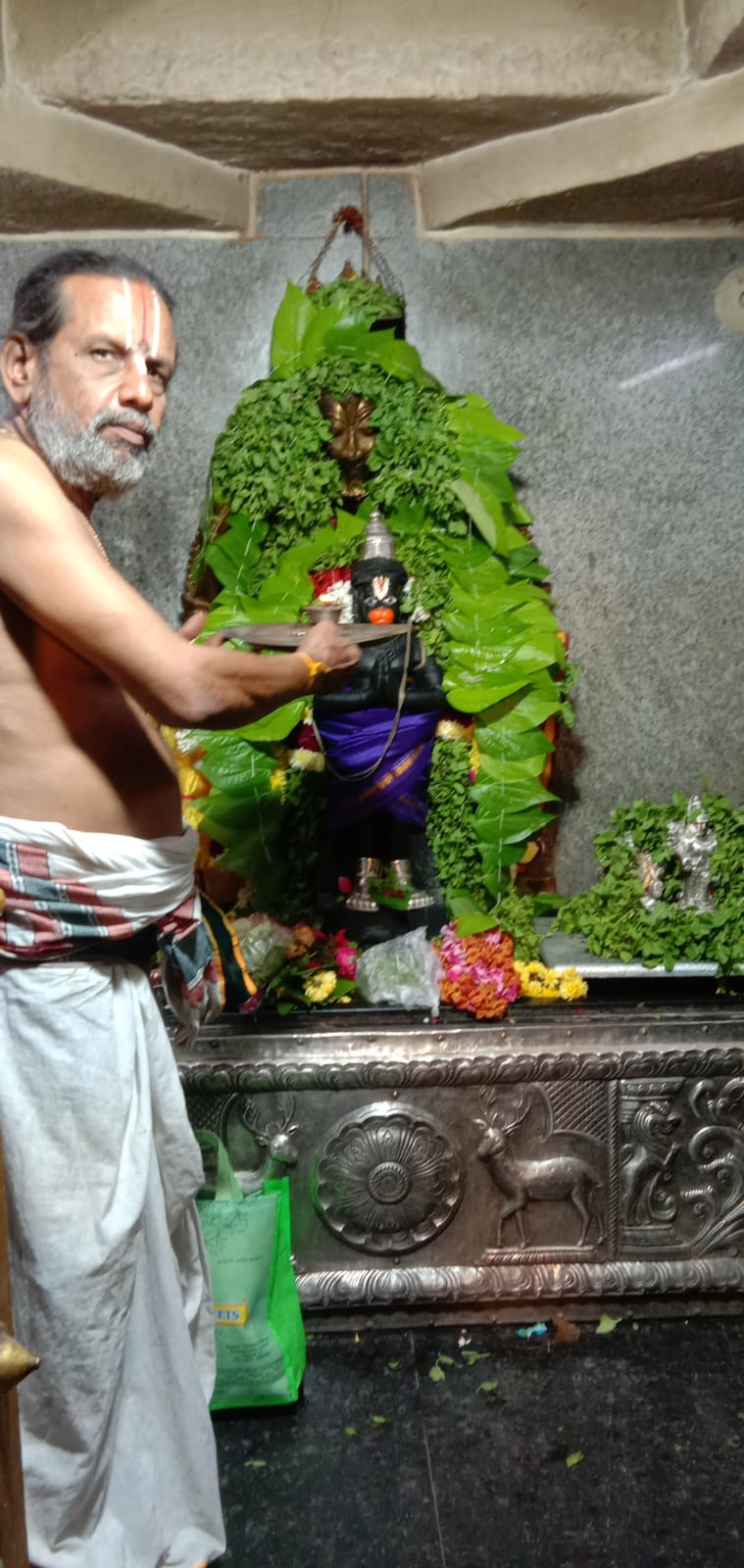 காட்பாடி ஸ்ரீ பக்த ஆஞ்சநேயர் கோவிலில் ஸ்ரீனிவாச கல்யாணம் கோலாகலம்!