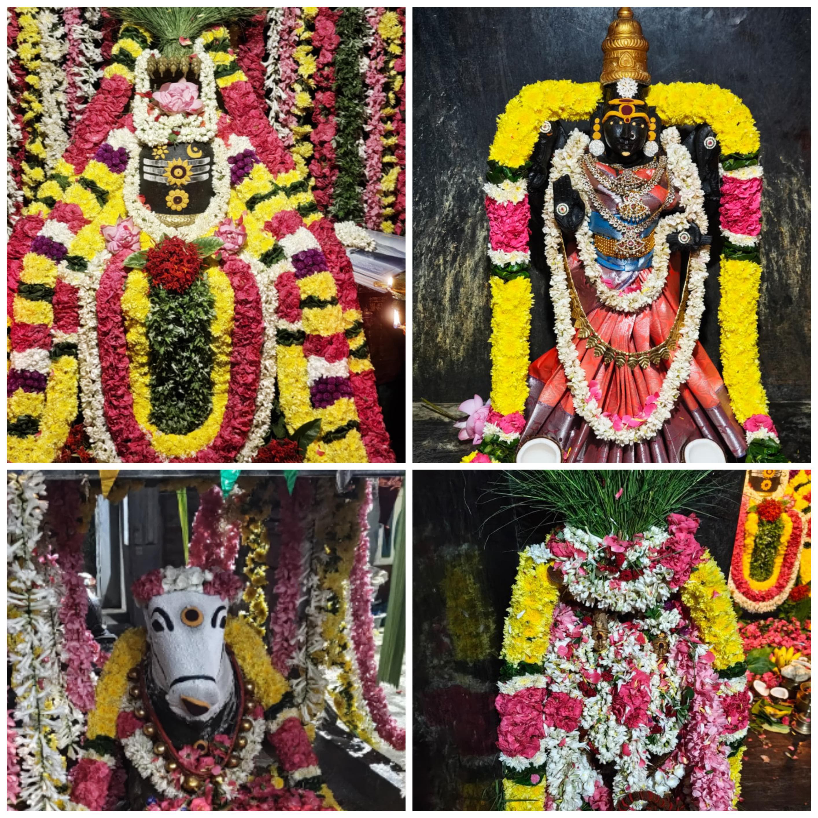 சனி மஹா பிரதோஷம் சிறப்பு வழிபாடு