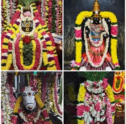 சனி மஹா பிரதோஷம் சிறப்பு வழிபாடு