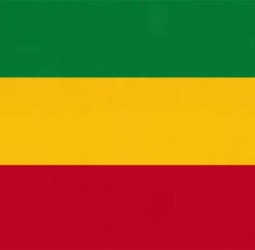 மாலியில் எரிபொருள் பற்றாக்குறை: பள்ளி, கல்லூரிகள் மூடல்