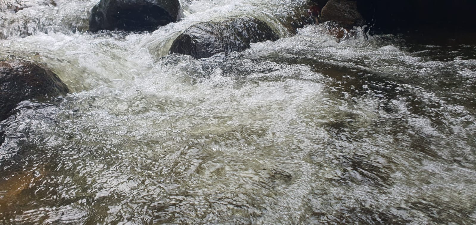 அய்யனார் கோயில் ஆற்றில் வெள்ளப் பெருக்கு