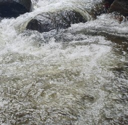 அய்யனார் கோயில் ஆற்றில் வெள்ளப் பெருக்கு