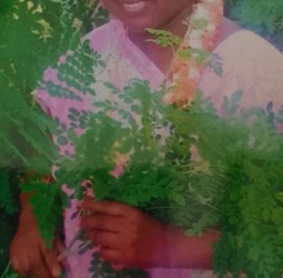 தேன் இதழ்