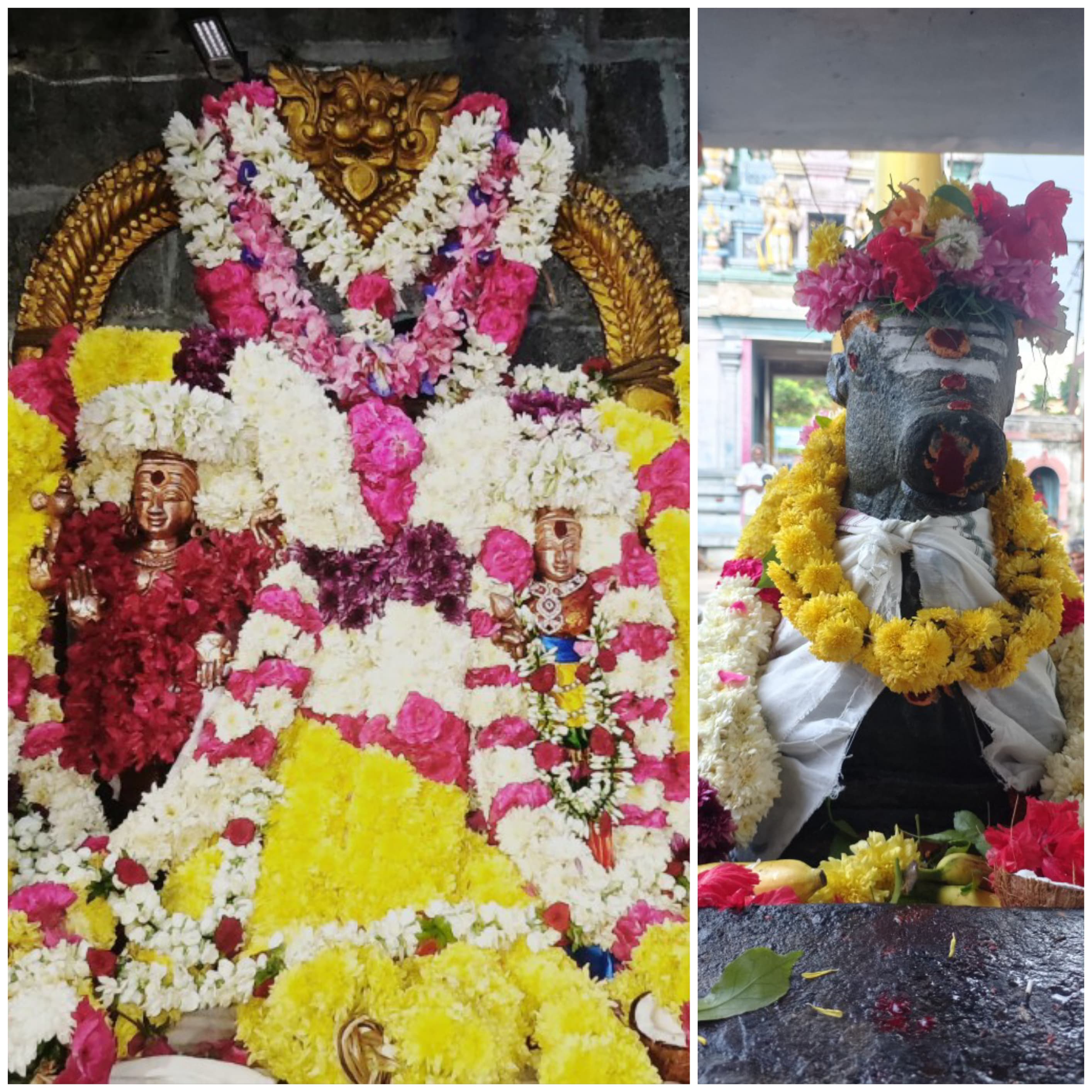 தேய்பிறை,சனி பிரதோஷம் சிறப்பு வழிபாடு