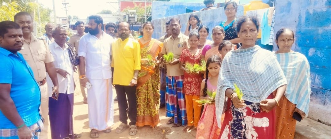 பாஜகவினர் சாலையில் நாற்று நடும் போராட்டம்