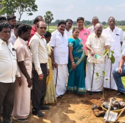 1000 பனை விதைகள் நடும் விழா