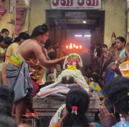 வலங்கைமானில் ஸ்ரீ பெரியநாயகி சமேத ஸ்ரீ கைலாசநாதர் ஆலயத்தில் பிரதோஷ விழா நடைபெற்றது.