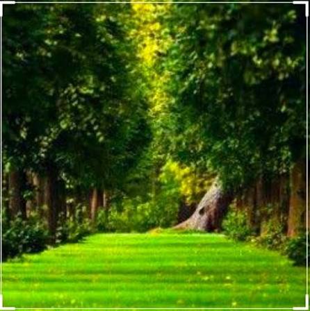 திரும்புமா