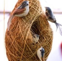 குருவிக்கூடு