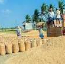 நெல் கொள்முதல் நிலையங்கள் செயல்படும்