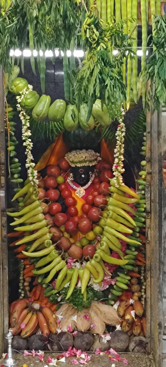 ஸ்ரீ வாசவி கன்யகா பரமேஸ்வரி அம்மன் ஆலயத்தில் நம் வாசவி சாகம்பரி அலங்காரத்தில் அருள் பாலிக்கும் காட்சி.