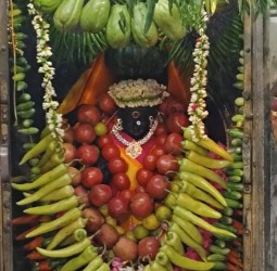 ஸ்ரீ வாசவி கன்யகா பரமேஸ்வரி அம்மன் ஆலயத்தில் நம் வாசவி சாகம்பரி அலங்காரத்தில் அருள் பாலிக்கும் காட்சி.