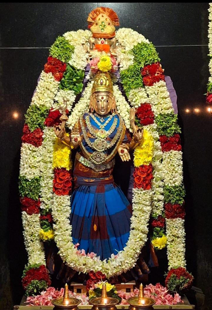 நம் வாசவி நீல வண்ண சேலையில்....