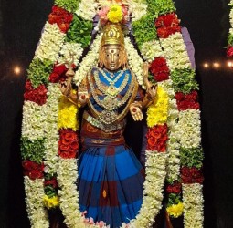 நம் வாசவி நீல வண்ண சேலையில்....