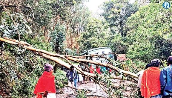 கொடைக்கானலில் பலத்த காற்று மரம் சாய்ந்து போக்குவரத்து பாதிப்பு