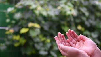 கைகோர்த்துச்சிணுங்கிய தூறல்.