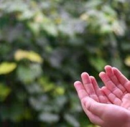 கைகோர்த்துச்சிணுங்கிய தூறல்.