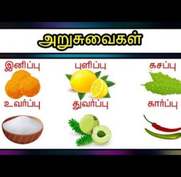 அறுவகைச் சுவை என்ன என்ன??...