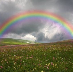 வானவில்